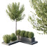 Bäume und Sträucher HQ Gartenkiste Draußen Band 48 - Pandora-land