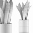 Topfpflanze Sammlung 98 Sansevieria - rodolfoboscan911