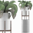 Potted Plant Collection 91 Agave - rodolfoboscan911