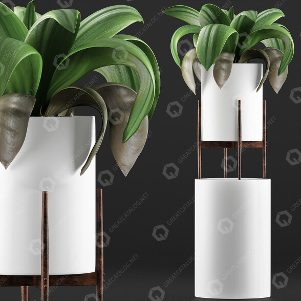 Potted Plant Collection 91 Agave 3D model