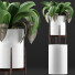 Potted Plant Collection 91 Agave - rodolfoboscan911
