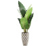 Potted Plant Collection 88 Alocasia - rodolfoboscan911