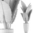 Potted Plant Collection 88 Alocasia - rodolfoboscan911