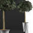 Topfpflanze Sammlung 81 Schefflera Arboricola - rodolfoboscan911
