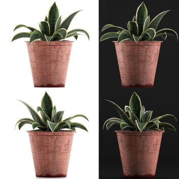 Topfpflanze  Kollektion 105 Agave 3D-Modell