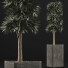 Potted Plant Collection 113 - rodolfoboscan911