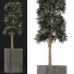 Potted Plant Collection 113 - rodolfoboscan911