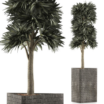 Topfpflanze  Kollektion 113 3D-Modell