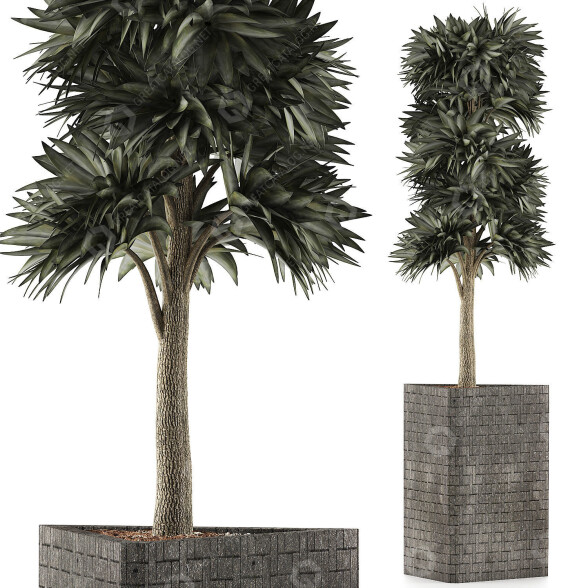 Potted Plant Collection 113 3D model
