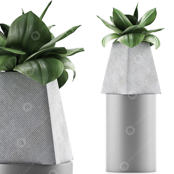 Topfpflanze Kollektion 112 Agave 3D-Modell