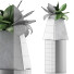 Topfpflanze Kollektion 112 Agave - rodolfoboscan911