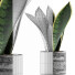 Potted Plant Collection 111 Sansevieira - rodolfoboscan911