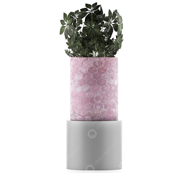Topfpflanze Kollektion 110 Schefflera Arboricola 3D-Modell