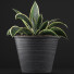 Potted Plant Collection 108 Agave - rodolfoboscan911