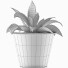 Potted Plant Collection 108 Agave - rodolfoboscan911