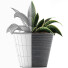 Potted Plant Collection 108 Agave - rodolfoboscan911