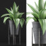 Topfpflanze Kollektion 107 Agave - rodolfoboscan911