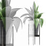 Topfpflanze Kollektion 107 Agave - rodolfoboscan911