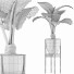 Topfpflanze Sammlung 77 Alocasia - rodolfoboscan911