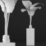 Topfpflanze Sammlung 75 Alocasia - rodolfoboscan911