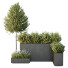 Árbol y arbustos HQ Caja de Jardín Exterior Volumen 50 - Pandora-land
