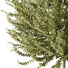 Árbol y arbustos HQ Caja de Jardín Exterior Volumen 50 - Pandora-land