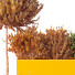 Árbol y arbustos HQ Caja de Jardín Exterior Volumen 50 - Pandora-land
