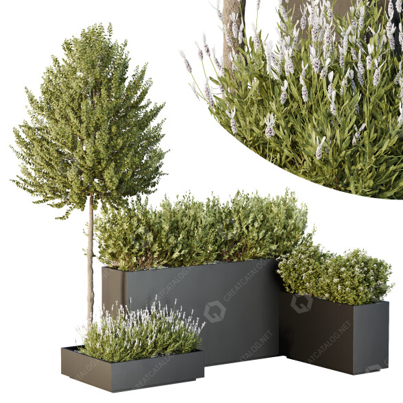 Árbol y arbustos HQ Caja de Jardín Exterior Volumen 50 Modelo 3D