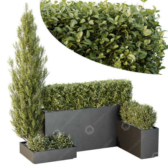 Bäume und Sträucher HQ Gartenkiste Draußen Band 49 3D-Modell