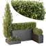 Bäume und Sträucher HQ Gartenkiste Draußen Band 49 - Pandora-land