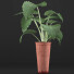 Potted Plant Collection 71 Alocasia - rodolfoboscan911
