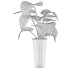 Potted Plant Collection 71 Alocasia - rodolfoboscan911