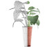 Potted Plant Collection 71 Alocasia - rodolfoboscan911