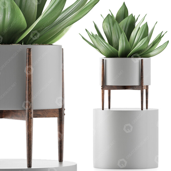Topfpflanze Sammlung 73 Agave 3D-Modell