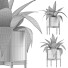 Topfpflanze Sammlung 63 Agave - rodolfoboscan911