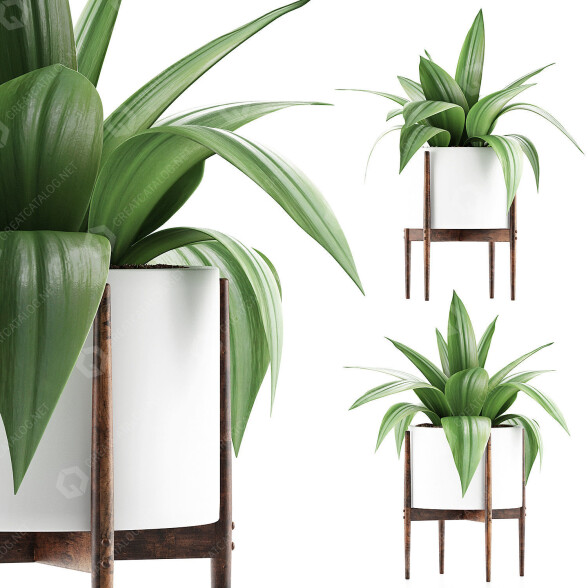 Topfpflanze Sammlung 63 Agave 3D-Modell