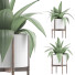Topfpflanze Sammlung 63 Agave - rodolfoboscan911