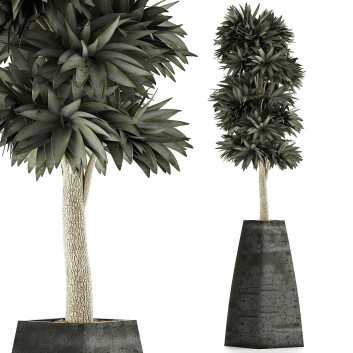 Topfpflanze  Sammlung 62 3D-Modell