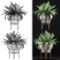 Potted Plant Collection 58 Agave - rodolfoboscan911