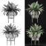 Potted Plant Collection 58 Agave - rodolfoboscan911