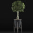 Potted Plant Collection 54 - rodolfoboscan911