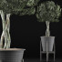 Potted Plant Collection 54 - rodolfoboscan911