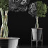Potted Plant Collection 54 - rodolfoboscan911