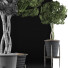 Potted Plant Collection 54 - rodolfoboscan911
