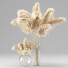 Plantas Secas Carrizo cortaderia selloana conjunto 01 - Rakochi Design