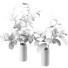 Jarrones y ramas Magnolia set 01 - Rakochi Design