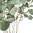 Vasen und Zweige Jysk Eukalyptus und Oliven-Set 1 - Rakochi Design