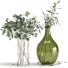 Vasen und Zweige Jysk Eukalyptus und Oliven-Set 1 - Rakochi Design