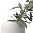 Vases and Branches Olive Set 1 - Rakochi Design