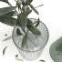 Jarrones y ramas Jysk Conjunto de olivos 3 - Rakochi Design